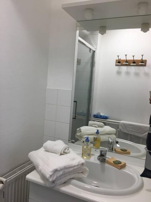 Bel Appartement Climatise Plein Centre Ville ปัวติเยร์ ภายนอก รูปภาพ